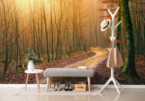 CARTA DA PARATI AUTOADESIVA – SENTIERO NEL BOSCO - CARTA DA PARATI AUTOADESIVE - CARTA DA PARATI
