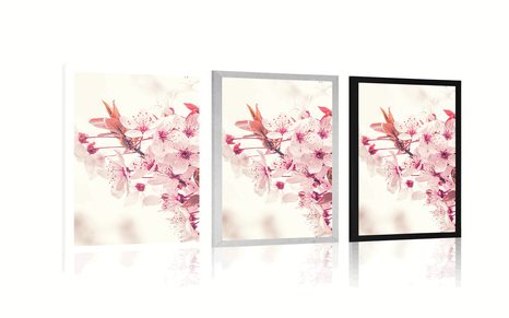 AFFICHE – FLEURS DE CERISIER ROSES - FLEURS - AFFICHES