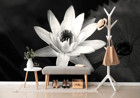 SAMOLEPÍCÍ TAPETA ČERNOBÍLÉ LEKNÍN - SAMOLEPÍCÍ TAPETY - TAPETY