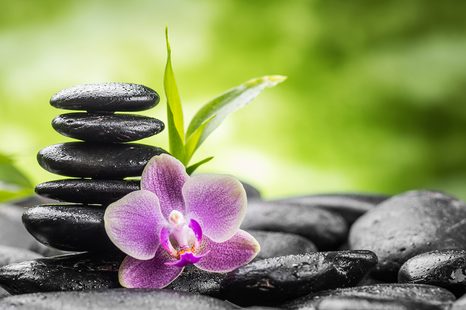 FOTOTAPETA MEDITAČNÍ ZEN KOMPOZICE - TAPETY FENG SHUI - TAPETY