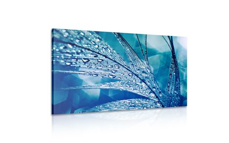 WANDBILD MORGENTAUTROPFEN - STILLLEBEN-BILDER - BILDER