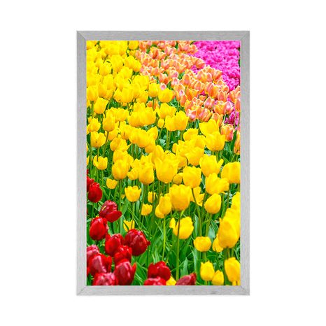 POSTER GARTEN VOLLER TULPEN - BLUMEN - POSTER
