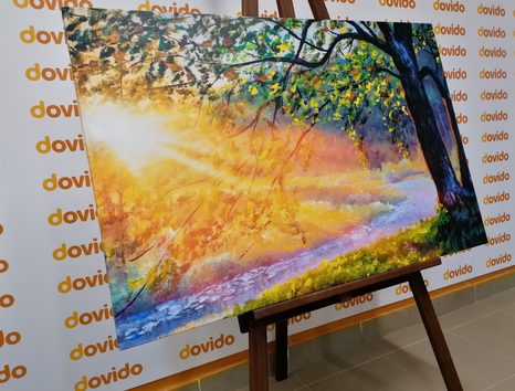 OBRAZ VÝCHOD SLNKA V LESE - OBRAZY - TOTÁLNÍ VÝPRODEJ 🔥