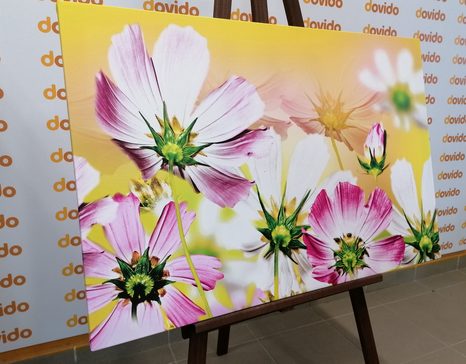 OBRAZ LETNÍ KVĚTINY - OBRAZY KVĚTŮ - OBRAZY