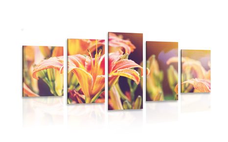 5-PIECE CANVAS PRINT BEAUTIFUL BLOOMING FLOWERS IN THE GARDEN - PICTURES FLOWERS - PICTURES