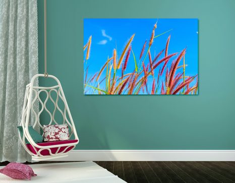 OBRAZ DZIKA TRAWA POD BŁĘKITNYM NIEBEM - OBRAZY PRZYRODY I KRAJOBRAZY - OBRAZY