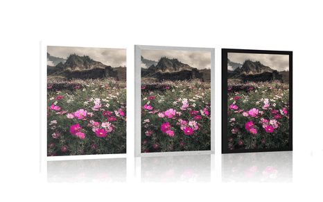 POSTER MEADOW OF BLOOMING FLOWERS - NATURE - POSTERS