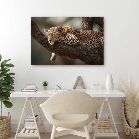 WANDBILD LEOPARD RUHT AUF EINEM BAUM - BILDER VON LÖWEN UND TIGERN - BILDER