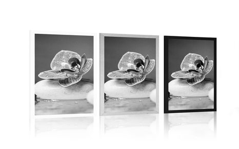 PLAKÁT ZEN KAMENY A ORCHIDEJ V ČERNOBÍLÉM PROVEDENÍ - ČERNOBÍLÉ - PLAKÁTY