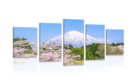 5-TEILIGES WANDBILD VULKAN FUJI - BILDER VON NATUR UND LANDSCHAFT - BILDER