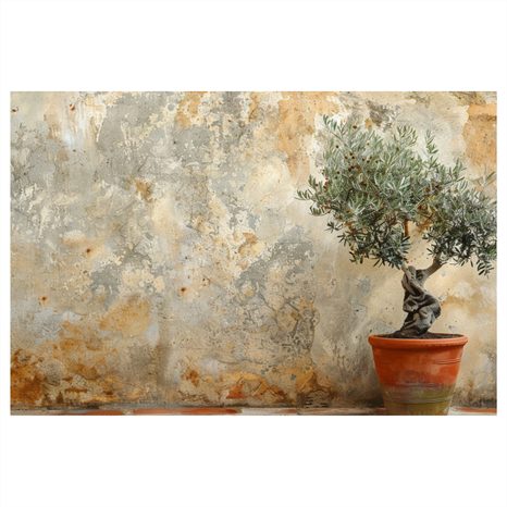 SLIKA SOBNA MASLINA UZ ZID - SLIKE MRTVE PRIRODE - SLIKE