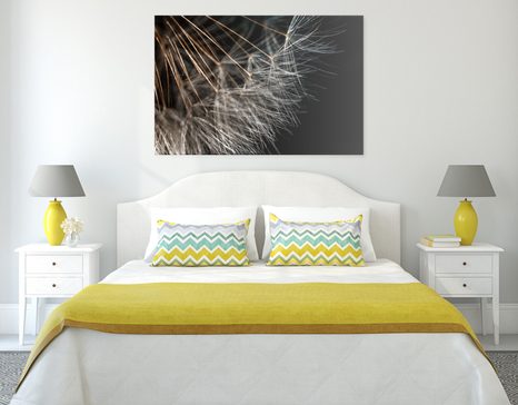 OBRAZ KRÁSA PAMPELIŠKY - OBRAZY KVĚTŮ - OBRAZY