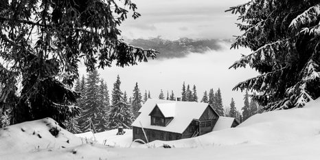 TABLEAU SUR TOILE – CABANE EN BOIS PRÈS DE PINS ENNEIGÉS EN NOIR ET BLANC - TABLEAUX EN NOIR ET BLANC - TABLEAUX