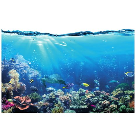 TAPETE TROPISCHE FISCHE - TAPETEN MIT TIERMOTIVEN - TAPETEN