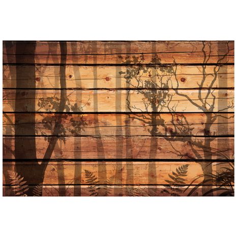 SAMOLEPÍCÍ TAPETA VE STÍNU STROMŮ - SAMOLEPÍCÍ TAPETY - TAPETY