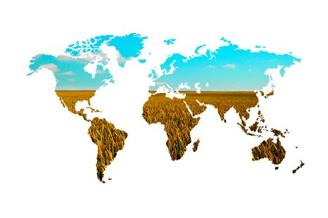 CARTA DA PARATI – MAPPA DEL MONDO SU SFONDO BIANCO - CARTA DA PARATI MAPPE - CARTA DA PARATI