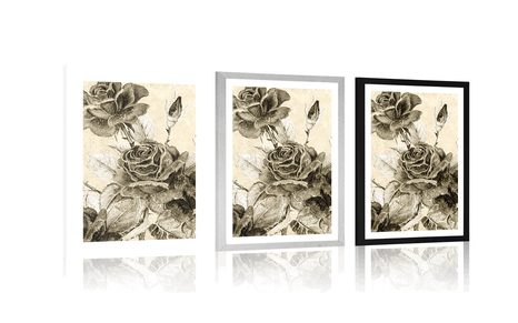 POSTER MIT PASSEPARTOUT VINTAGE-ROSENSTRAUSS IN SEPIA - SCHWARZ-WEISS - POSTER