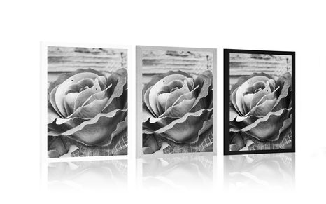 POSTER ELEGANTE VINTAGE-ROSE IN SCHWARZ-WEISS - SCHWARZ-WEISS - POSTER