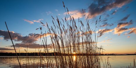 OBRAZ SPOKOJNA RZEKA W POBLIŻU WSI - OBRAZY PRZYRODY I KRAJOBRAZY - OBRAZY