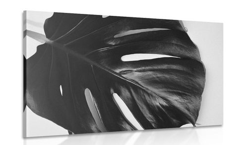 IMPRESSION SUR TOILE FEUILLE DE MONSTERA EN NOIR ET BLANC - IMPRESSIONS SUR TOILE NOIR ET BLANC - IMPRESSION SUR TOILE