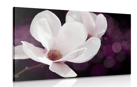 WANDBILD MAGNOLIENBLÜTE AUF ABSTRAKTEM HINTERGRUND - BILDER BLUMEN - BILDER