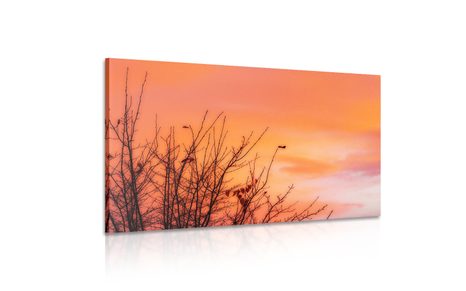 TABLOU CERUL COLORAT - TABLOU NATURĂ ȘI PEISAJE NATURALE - TABLOURI