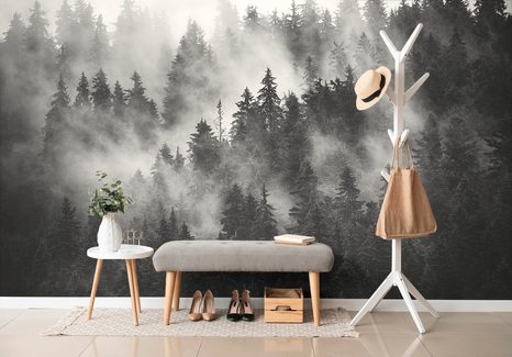 CARTA DA PARATI AUTOADESIVA – FORESTA NELLA NEBBIA IN BIANCO E NERO - CARTA DA PARATI AUTOADESIVE - CARTA DA PARATI