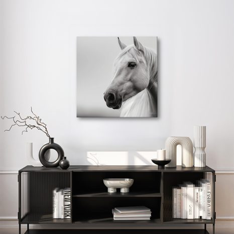 WANDBILD MAJESTÄTISCHES WEISSES PFERD - BILDER VON PFERDEN - BILDER