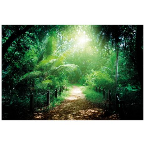 WALL MURAL PATH ON THE ISLAND OF SEYCHELLES - WALLPAPERS NATURE - WALLPAPERS