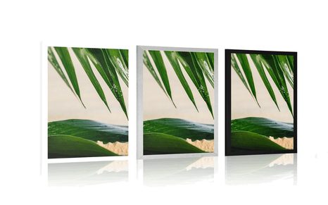 POSTER – NATURA MORTA SULLA SPIAGGIA - ANCORA VITA - POSTER