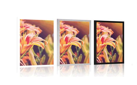 PLAKÁT KRÁSNĚ KVETOUCÍ KVĚTINY V ZAHRADĚ - KVĚTINY - PLAKÁTY