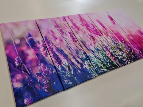 TABLOU 5-PIESE FLORI MAGICE DE LAVANDĂ - TABLOU FLORI - TABLOURI