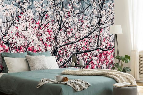 SAMOLEPIACA FOTOTAPETA KVETY BROSKYNE - SAMOLEPIACE TAPETY - TAPETY