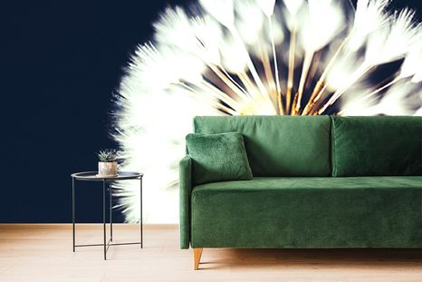 SAMOLEPÍCÍ FOTOTAPETA PAMPELIŠKA NA TMAVÉM POZADÍ - SAMOLEPÍCÍ TAPETY - TAPETY