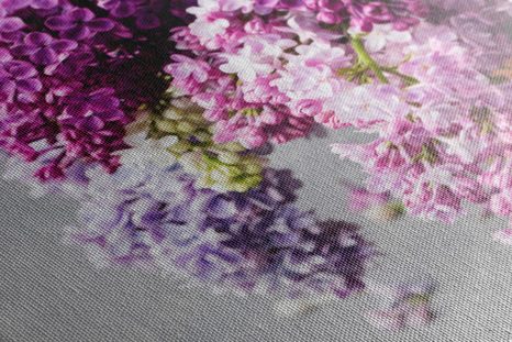 SLIKA ŠPANSKI BEZEG V ROŽNATIH ODTENKIH - SLIKE ROŽ - SLIKE