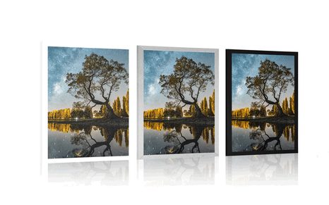 PLAKÁT STROM POD HVĚZDNOU OBLOHOU - PŘÍRODA - PLAKÁTY