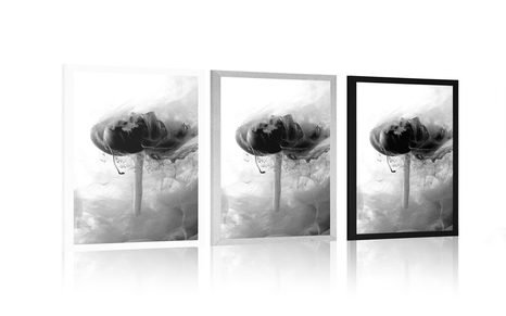 PLAKÁT RŮŽOVÝ KVĚT V ZAJÍMAVÉM PROVEDENÍ V ČERNOBÍLÉM PROVEDENÍ - ČERNOBÍLÉ - PLAKÁTY