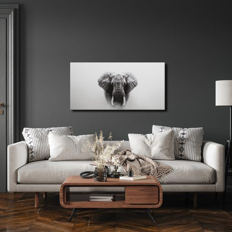 OBRAZ ČERNOBÍLÝ SLONÍ PORTRÉT - OBRAZY SLONI - OBRAZY