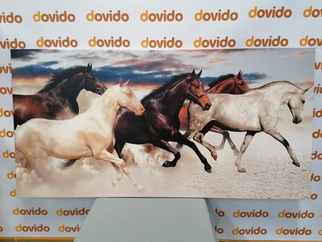 КАРТИНА НА ПЛАТНО – СТАДО КОНЕ - КАРТИНИ НА ЖИВОТНИ - КАРТИНИ