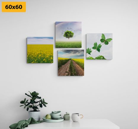 BILDER-SET SCHILLERNDE NATUR - BILDERSETS - BILDER