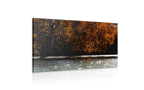 WANDBILD SPIEGELUNG DER BLÄTTER IM SEE - BILDER VON NATUR UND LANDSCHAFT - BILDER