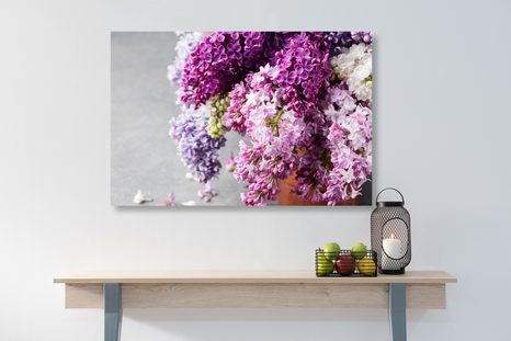 SLIKA ŠPANSKI BEZEG V ROŽNATIH ODTENKIH - SLIKE ROŽ - SLIKE