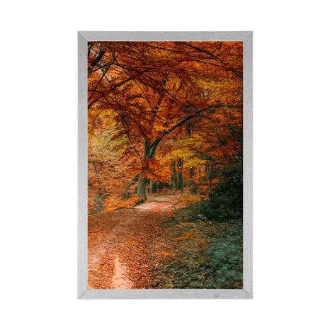 PLAKAT PREKRASNA ŠUMA U JESENJE DOBA - PRIRODA - PLAKATI