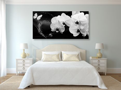 WANDBILD SCHWARZ-WEISSE ORCHIDEE UND SCHMETTERLING - SCHWARZ-WEISSE BILDER - BILDER