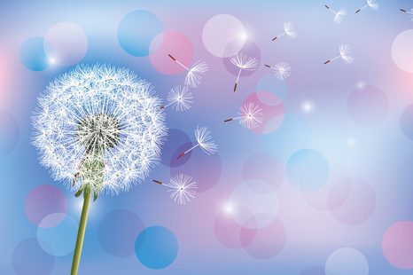 CARTA DA PARATI – SOFFIONE BLU SU SFONDO ASTRATTO - CARTA DA PARATI TARASSACO - CARTA DA PARATI