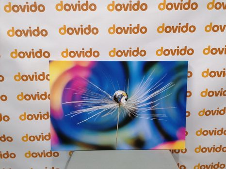 OBRAZ KVAPKA ROSY NA FAREBNOM POZADÍ - OBRAZY KVETOV - OBRAZY