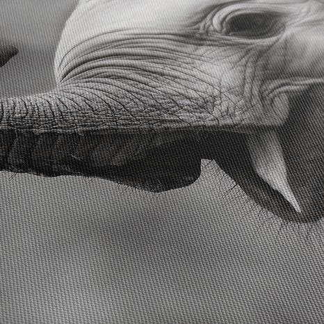 OBRAZ RADOSTNÝ SLONÍ OKAMŽIK - OBRAZY SLONI - OBRAZY