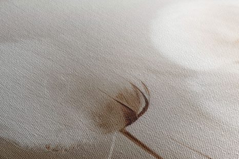 STAMPA SU TELA – STELI DI COTONE - QUADRI DI ERBA - STAMPE E QUADRI