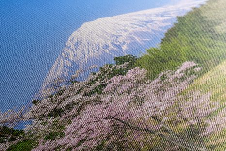 WANDBILD BERG FUJI - BILDER VON NATUR UND LANDSCHAFT - BILDER