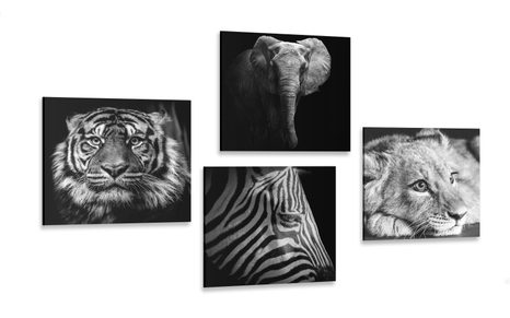 SET OF PICTURES WILD ANIMALS IN BLACK & WHITE DESIGN